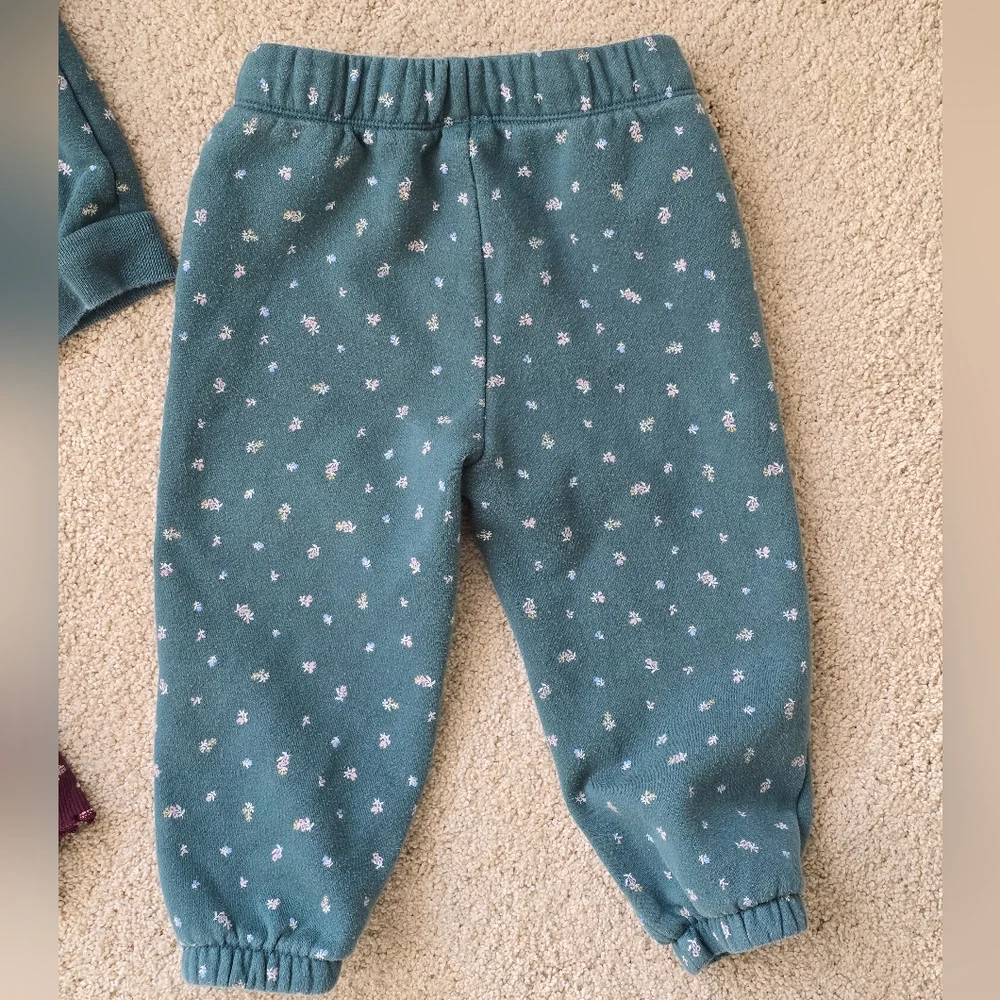 babyGap Logo Zip Hoodie and Pants Set with Floral Long Sleeve Top